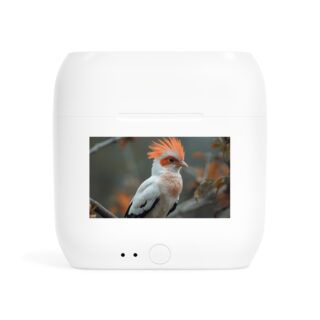 Essos Wireless Earbuds: Bird Design, Bluetooth Headphones, Gift for Music Lovers, Tech Accessories, Perfect for Travel, Inspiration