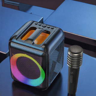 Portable Bluetooth Speaker