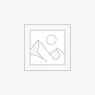 Aenean non pellentesque mauris