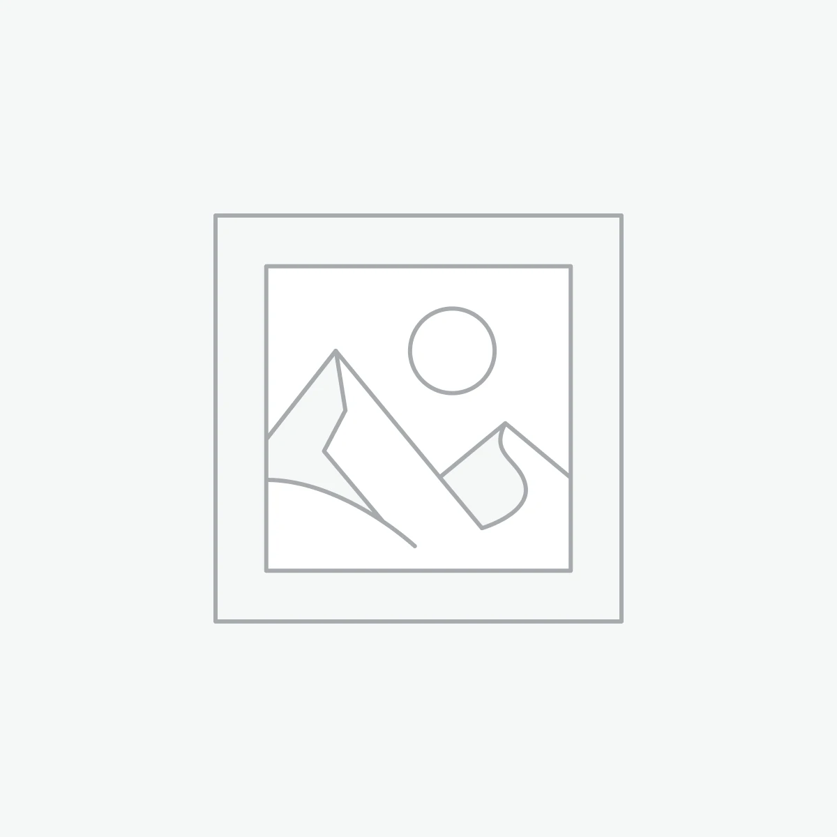 Aenean non pellentesque mauris